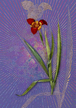 Vintage Tiger Flower Art