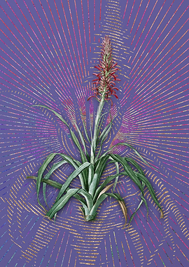 Vintage Pina Cortadora