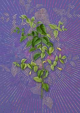 Vintage Tree Fuchsia Art