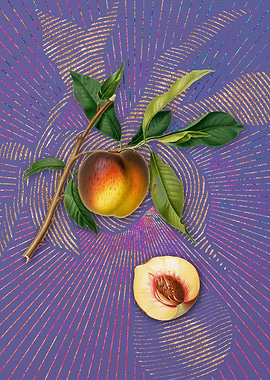 Vintage Peach 11 Fruit