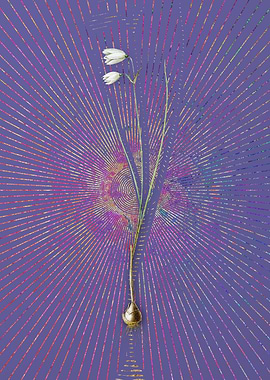 Vintage Snowbell Flora