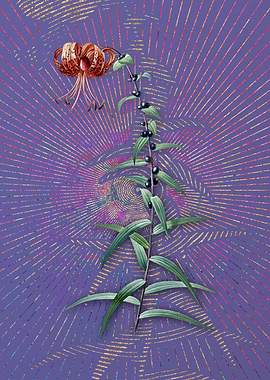 Vintage Tiger Lily 2 Art