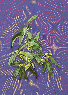 Vintage Russian Olive