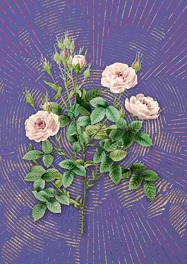 Vintage Rosier Pompon