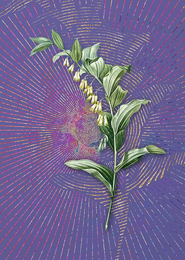 Vintage Solomons Seal