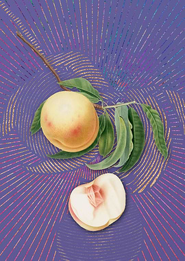 Vintage Duracina Peach