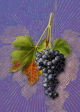 Vintage Raisin Grape Art