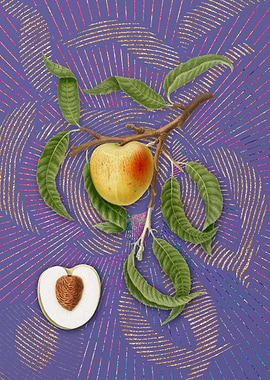 Vintage Peach 18 Flora