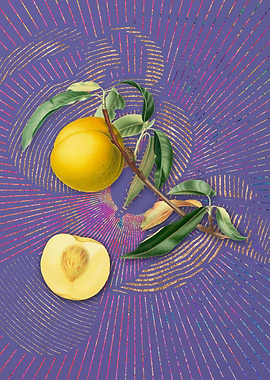 Vintage Peach 15 Flora