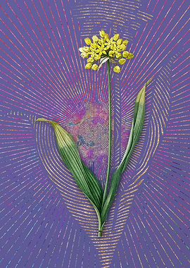 Vintage Golden Garlic