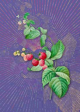 Vintage Red Berries Purple