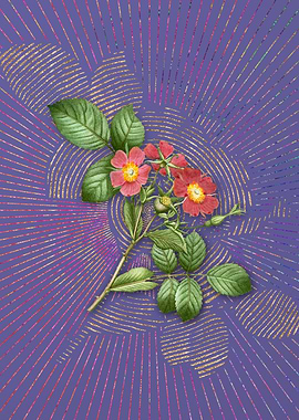 Vintage Redleaf Rose Art