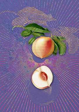 Vintage Peach 6 Violet