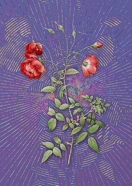 Vintage Red Rose Flora