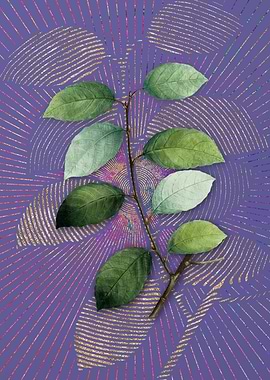 Vintage Eared Willow Art