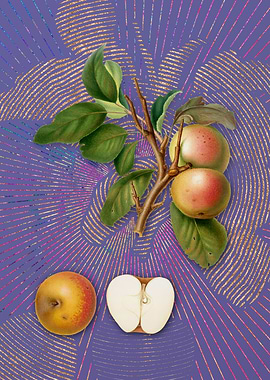 Vintage Pupina Apple Art