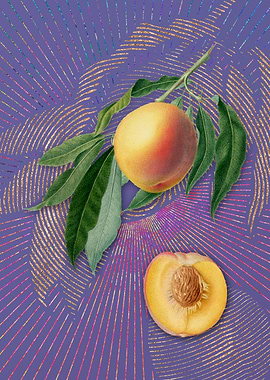 Vintage Peach 8 Fruit