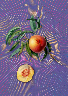 Vintage Peach 16 Flora