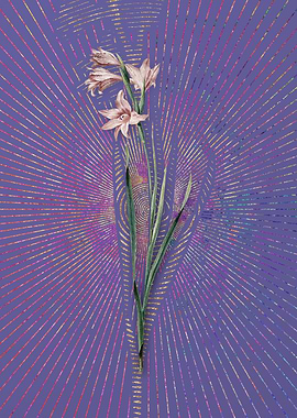 Vintage Painted Lady Art