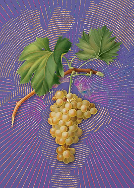 Vintage Grape Vine 5 Art