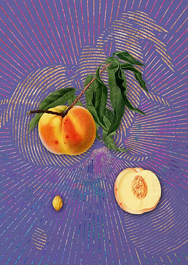 Vintage Peach 21 Fruit