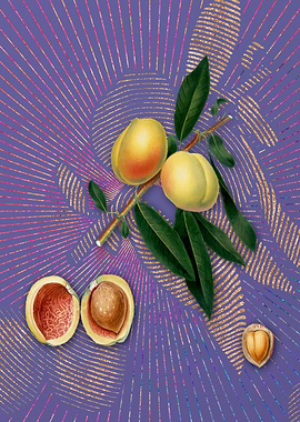 Vintage Peach 17 Flora