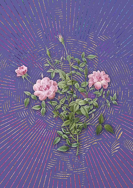 Vintage Dwarf Rosebush