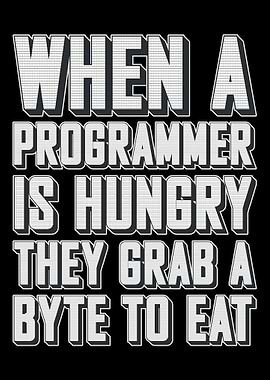 Programmer Software