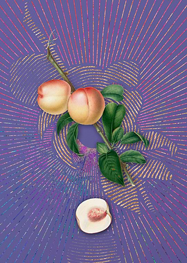 Vintage White Walnut Art