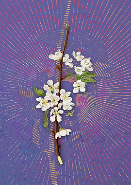 Vintage Musky Pear 2 Art