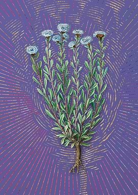 Vintage Globe Daisies