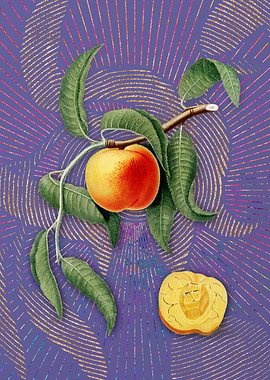 Vintage Peach 20 Fruit