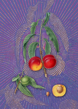 Vintage Walnut Peach Art