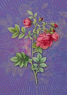 Vintage Turnip Roses Art
