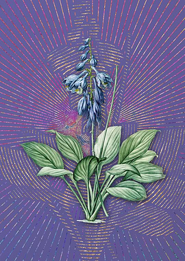 Vintage Daylily Violet