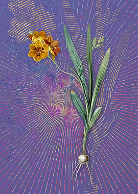 Vintage Ixia Miniata Art