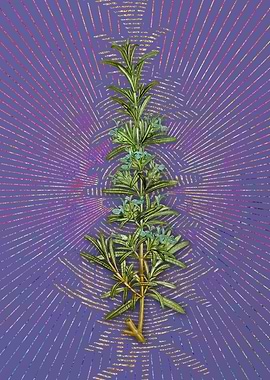 Vintage Rosemary Flora