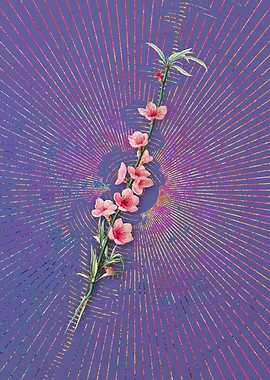 Vintage Peach Blossoms