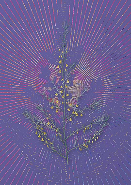 Vintage Sea Asparagus