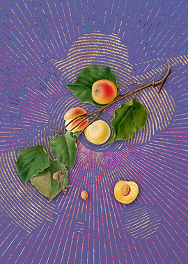 Vintage Peach 9 Violet