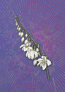 Vintage Giant Cabuya 2