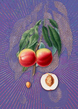 Vintage Peach 10 Flora