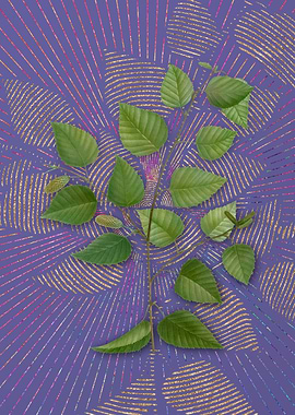 Vintage Paper Birch Purple