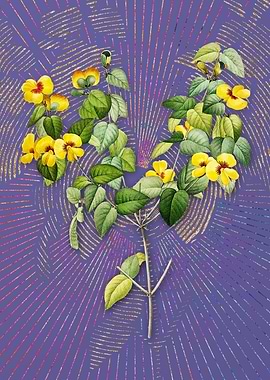 Vintage Platilobium Purple