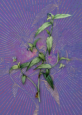 Vintage Tagblume Flora