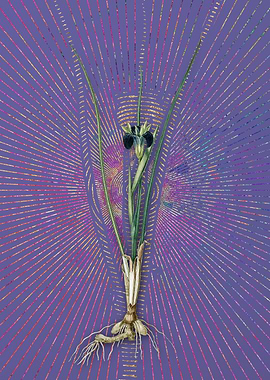 Vintage Snakes Head Art