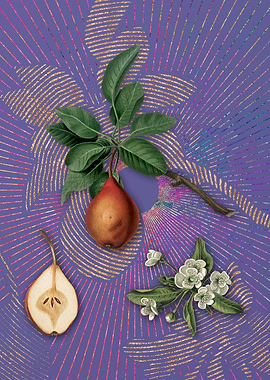 Vintage Pear 12 Fruit