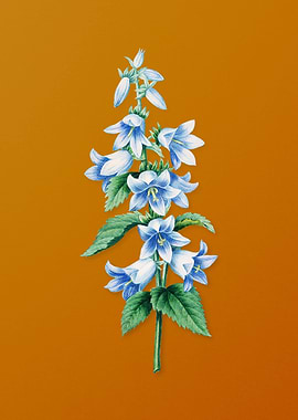 Vintage Bellflowers Flower