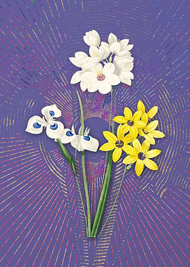 Violet Vintage Corn Lily