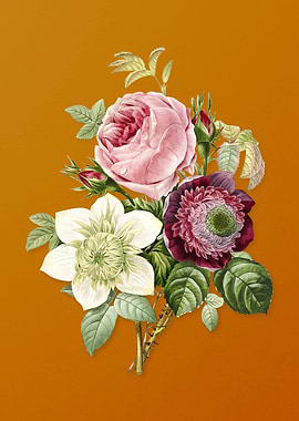 Vintage Anemone Rose